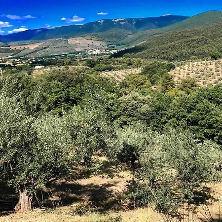 Villa Vallocchia - Sleeps 18 Exclusive Poolgrounds 3 فيلة Borgiano (Perugia)